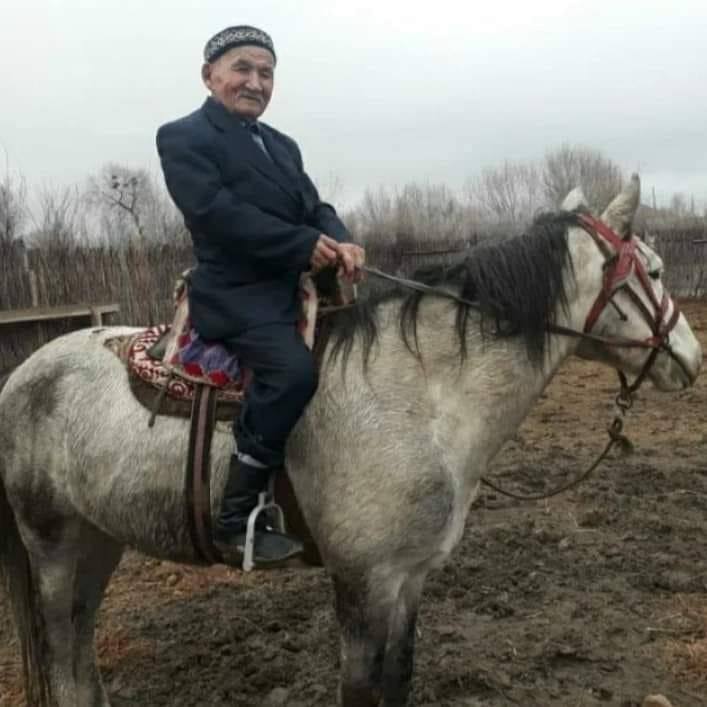 Аяқтардың арасындағы мүшенің фотосы